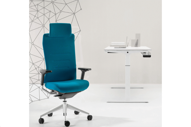 Modern office furniture ergonomic chair with adjustable lumbar support